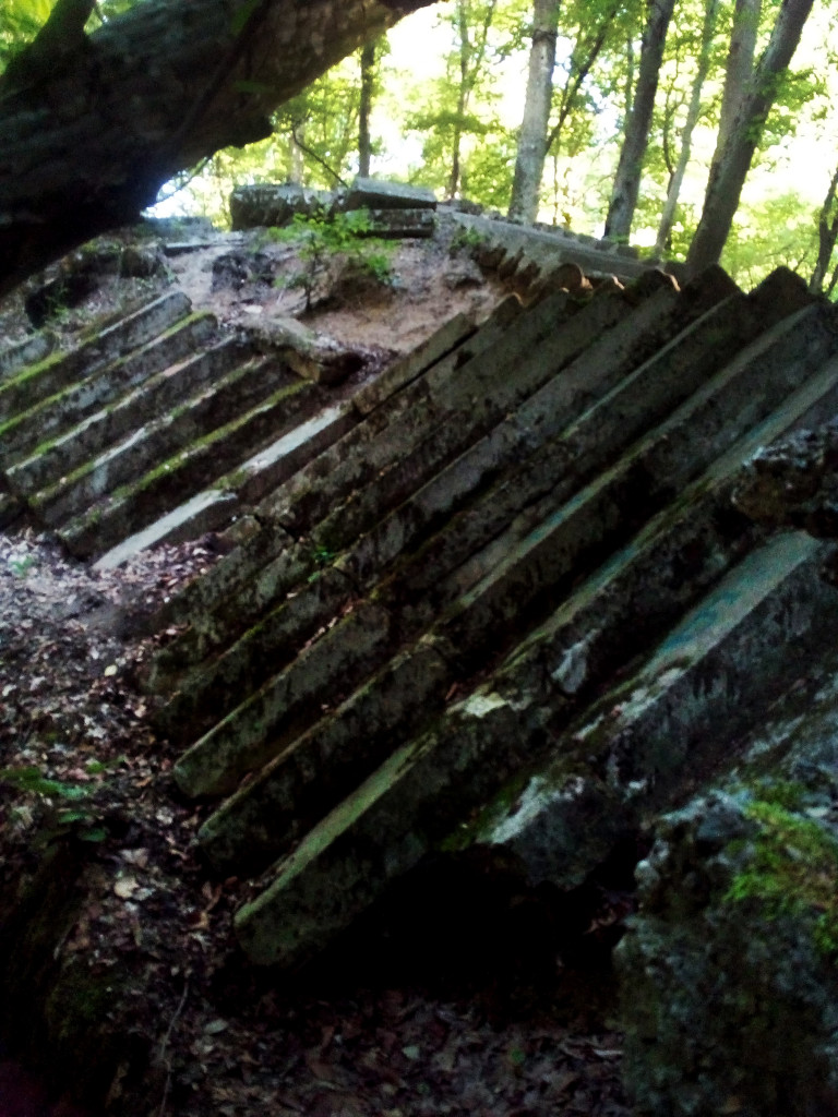 Перевернутая лестница в Таманском лесу