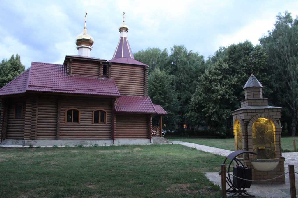 Открывая Ставрополье заново: дендропарк в Михайловске