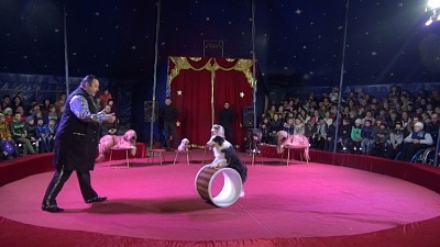 Фото Гармония | 11.05.2017 - Выступления цирка-шапито "Аншлаг" - 5