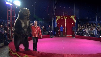 Фото Гармония | 11.05.2017 - Выступления цирка-шапито "Аншлаг" - 15
